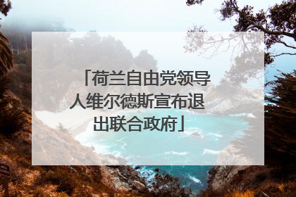 荷兰自由党领导人维尔德斯宣布退出联合政府