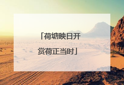 荷塘映日开 赏荷正当时