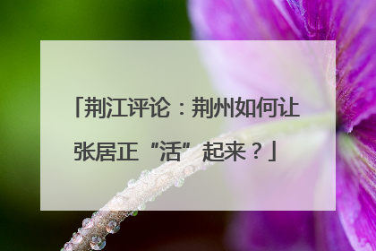 荆江评论：荆州如何让张居正“活”起来？