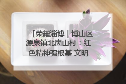 荣耀淄博｜博山区源泉镇北崮山村：红色精神强根基 文明新风润山乡