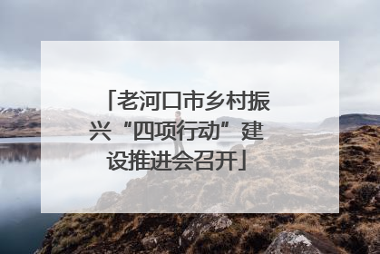 老河口市乡村振兴“四项行动”建设推进会召开
