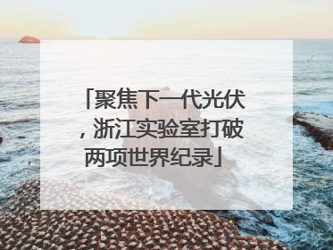 聚焦下一代光伏，浙江实验室打破两项世界纪录