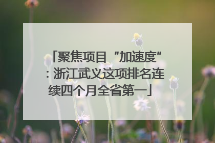 聚焦项目“加速度”：浙江武义这项排名连续四个月全省第一
