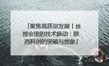 聚焦高质量发展丨丝博会里的技术脉动：陕西科创的突破与想象