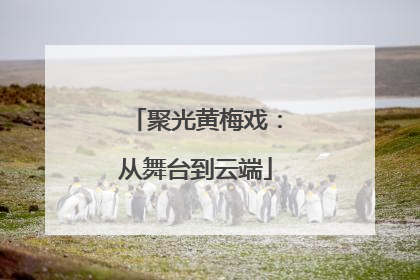 聚光黄梅戏：从舞台到云端