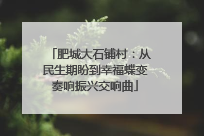 肥城大石铺村：从民生期盼到幸福蝶变奏响振兴交响曲