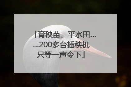 育秧苗、平水田……200多台插秧机只等一声令下