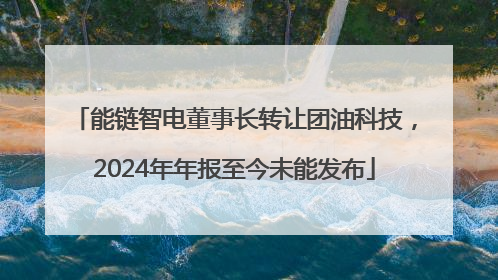 能链智电董事长转让团油科技，2024年年报至今未能发布