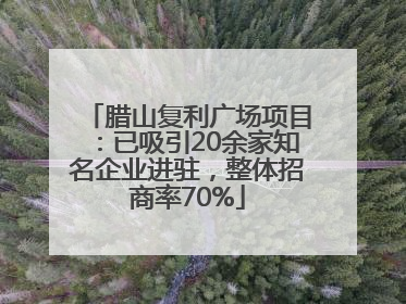 腊山复利广场项目：已吸引20余家知名企业进驻，整体招商率70%
