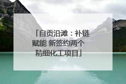 自贡沿滩：补链赋能 新签约两个精细化工项目