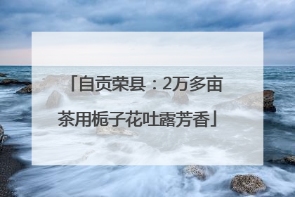 自贡荣县：2万多亩茶用栀子花吐露芳香
