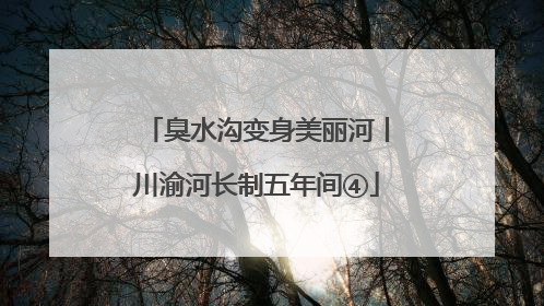 臭水沟变身美丽河丨川渝河长制五年间④