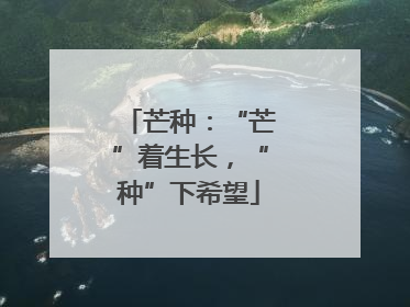 芒种：“芒”着生长，“种”下希望