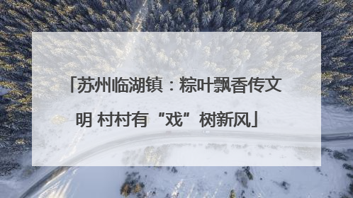 苏州临湖镇：粽叶飘香传文明 村村有“戏”树新风