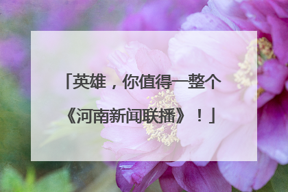 英雄，你值得一整个《河南新闻联播》！