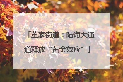 董家街道：陆海大通道释放“黄金效应”