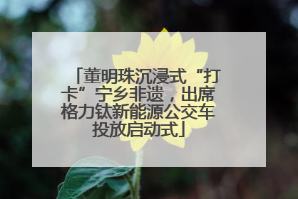 董明珠沉浸式“打卡”宁乡非遗，出席格力钛新能源公交车投放启动式