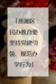 蒸湘区：民办教育要坚持党建引领、规范办学行为