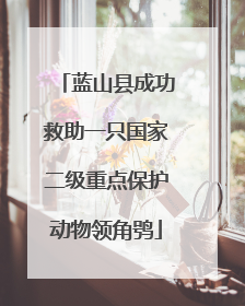 蓝山县成功救助一只国家二级重点保护动物领角鸮