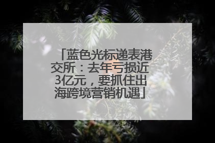 蓝色光标递表港交所：去年亏损近3亿元，要抓住出海跨境营销机遇