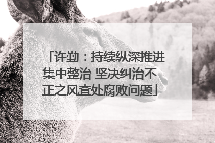 许勤：持续纵深推进集中整治 坚决纠治不正之风查处腐败问题