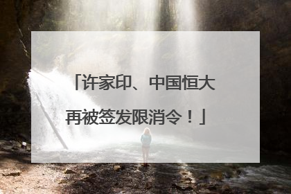 许家印、中国恒大再被签发限消令！