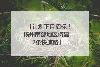 计划下月招标！扬州南部地区将建2条快速路