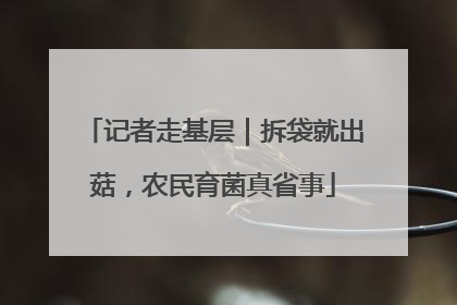 记者走基层｜拆袋就出菇，农民育菌真省事