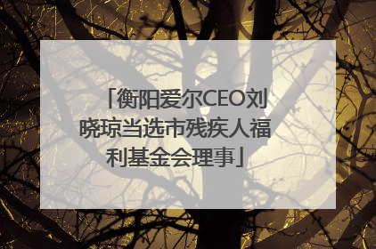 衡阳爱尔CEO刘晓琼当选市残疾人福利基金会理事