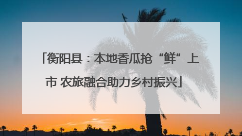 衡阳县：本地香瓜抢“鲜”上市 农旅融合助力乡村振兴
