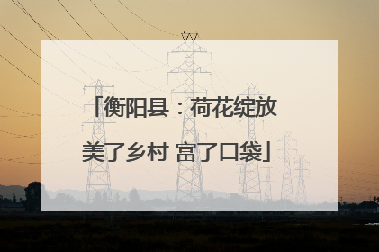 衡阳县：荷花绽放 美了乡村 富了口袋