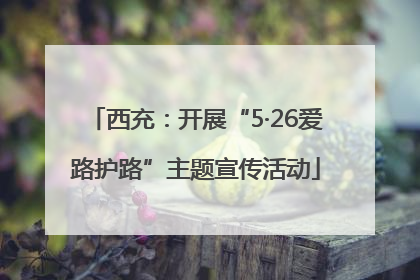 西充：开展“5·26爱路护路”主题宣传活动