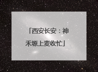 西安长安：神禾塬上麦收忙