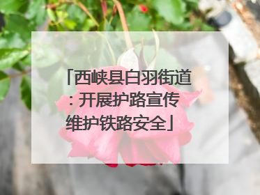 西峡县白羽街道：开展护路宣传 维护铁路安全