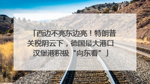 西边不亮东边亮！特朗普关税阴云下，德国最大港口汉堡港积极“向东看”