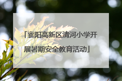 襄阳高新区清河小学开展暑期安全教育活动