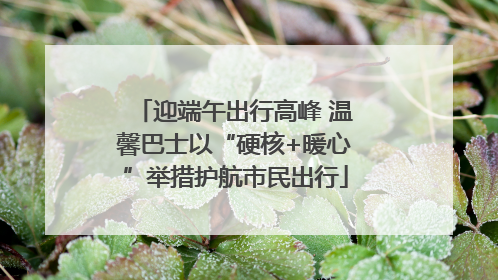 迎端午出行高峰 温馨巴士以“硬核+暖心”举措护航市民出行
