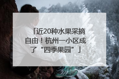 近20种水果采摘自由！杭州一小区成了“四季果园”