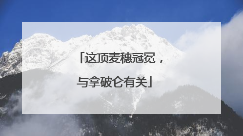 这顶麦穗冠冕，与拿破仑有关