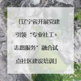 辽宁省开展党建引领“专业社工+志愿服务”融合试点社区建设培训