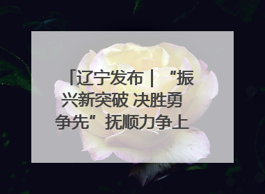 辽宁发布｜“振兴新突破 决胜勇争先”抚顺力争上半年地区生产总值增长7%左右