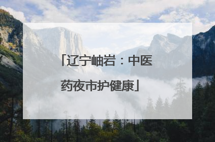 辽宁岫岩：中医药夜市护健康
