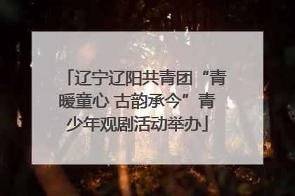 辽宁辽阳共青团“青暖童心 古韵承今”青少年观剧活动举办