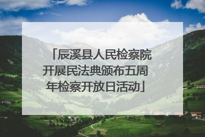 辰溪县人民检察院开展民法典颁布五周年检察开放日活动