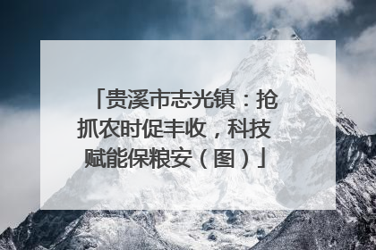 贵溪市志光镇：抢抓农时促丰收，科技赋能保粮安（图）