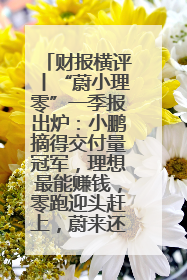 财报横评丨“蔚小理零”一季报出炉：小鹏摘得交付量冠军，理想最能赚钱，零跑迎头赶上，蔚来还在调整