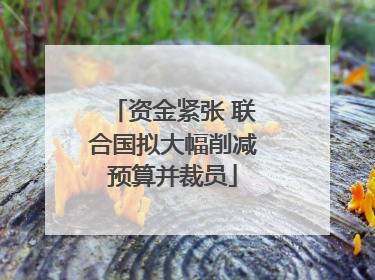 资金紧张 联合国拟大幅削减预算并裁员