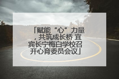 赋能“心”力量，共筑成长桥 宜宾长宁梅白学校召开心育委员会议