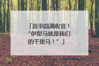 赛事圆满收官！“伊犁马就是我们的千里马！”