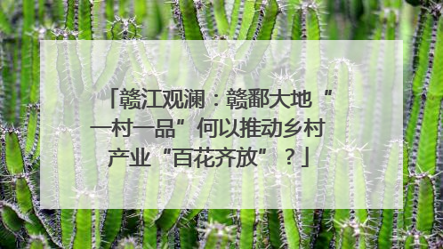 赣江观澜：赣鄱大地“一村一品”何以推动乡村产业“百花齐放”？